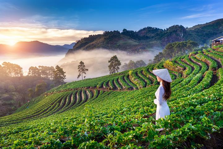 Từ Gần 300 bé mẫu giáo