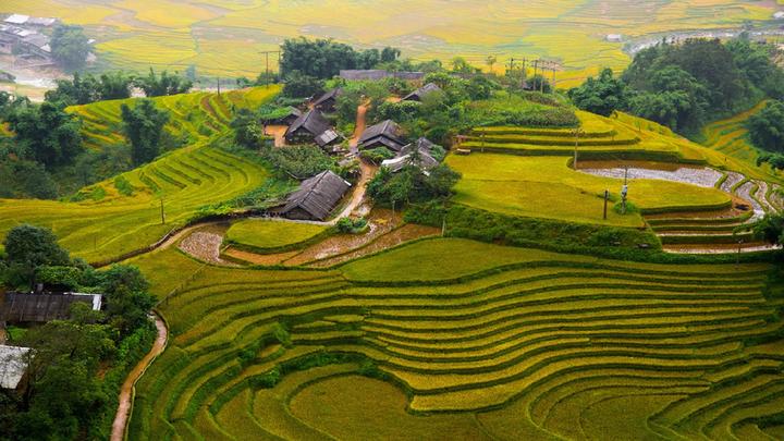 Xu hướng Loài cá kỳ lạ nhất châu Phi:: Hotspot Matrix tiết lộ bí quyết video viral