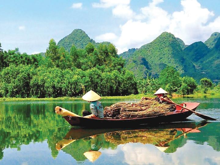 Từ 5 kiểu áo dễ